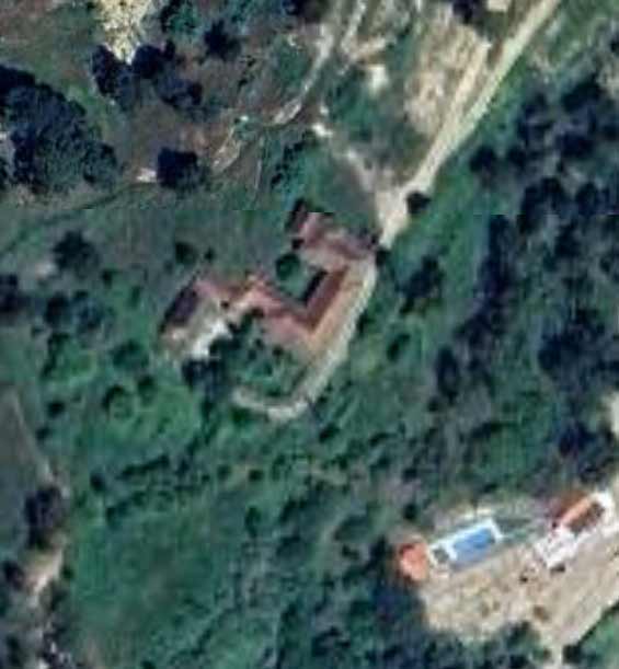 quinta-yellow Quinta Yellow