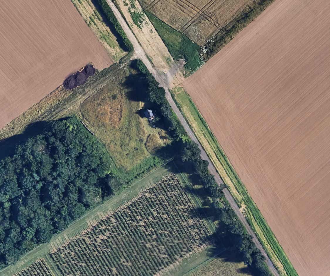 the-wizard-cabin The Wizard Cabin