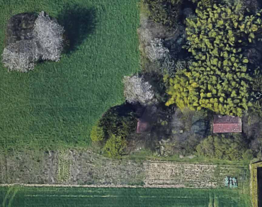 maison-panda Maison Panda