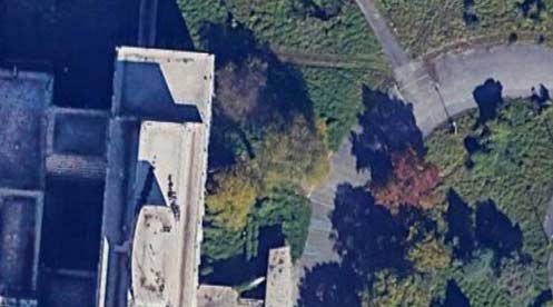 asylum-tower Asylum Tower