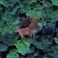 Abandoned villa house joker - France