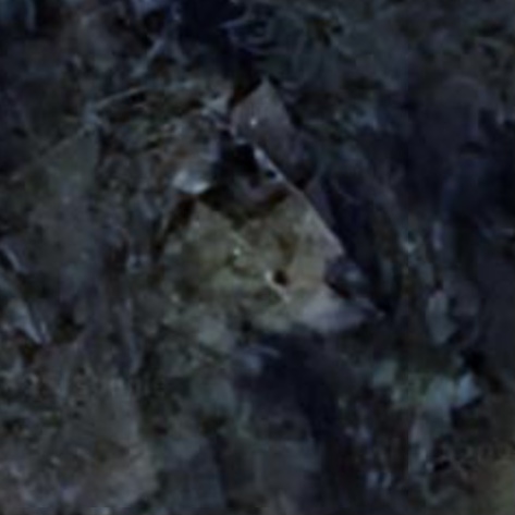 Abandoned Carpenter house - Luxembourg Abandoned Carpenter house - Luxembourg