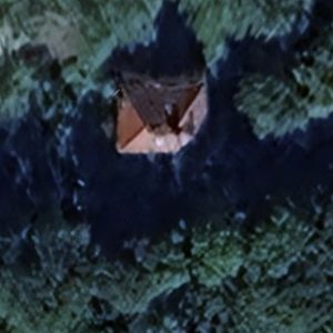 Abandoned villa house Wood - Belgium