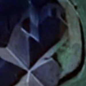 Abandoned Urbex church Sins - Belgium