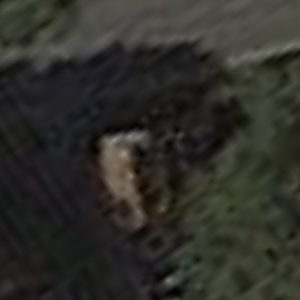 Abandoned villa House Laundry - Belgium