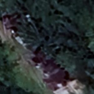 Abandoned Urbex Colonia Verti - Italy