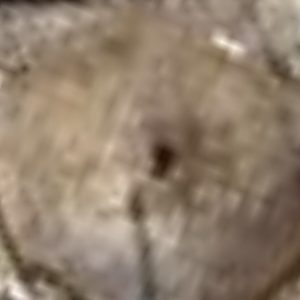 Abandoned Base radar - Spain