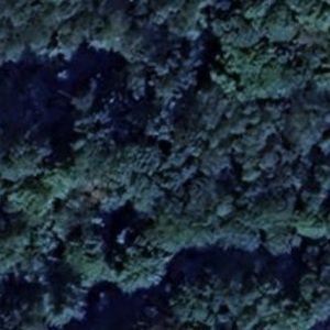 Abandoned Bunker B - Germany