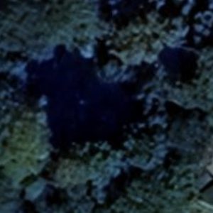 Abandoned villa House Verden - Germany