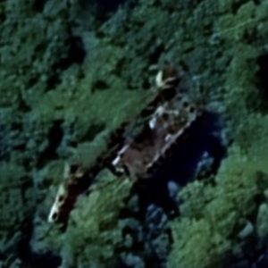 Abandoned Farm I - Italy