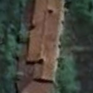 Abandoned villa house Mineur - France