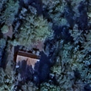 Abandoned villa House Lez - Germany