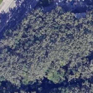 Abandoned Bunker Gamma - Slovakia