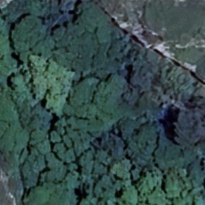 Abandoned Convent hidden - France