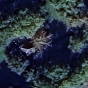 Abandoned villa House Mont - France