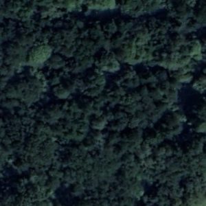 Abandoned Urbex Fort Beta - Poland