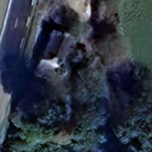 Abandoned villa House V2 - France