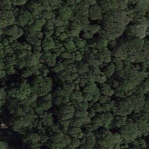 Abandoned Bunker Alpha - France