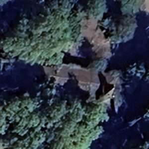 Abandoned Castle Mon - France