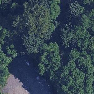 Abandoned Cemetery Jewish II - Poland