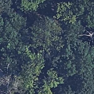 Abandoned Cemetery History - Poland