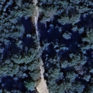 Abandoned Bunker Soviet - Poland