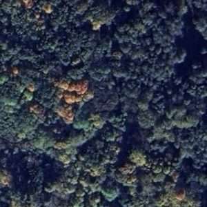 Abandoned Urbex Mausoleum X - Poland