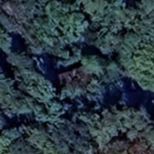 Abandoned Mansion H - USA