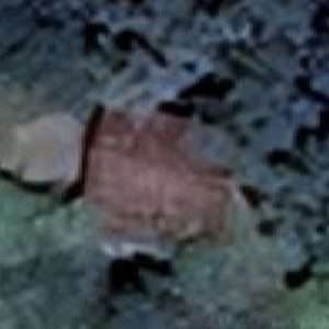 Abandoned villa House Rosa - Italy