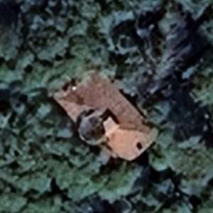 Abandoned villa House Tower - Italy