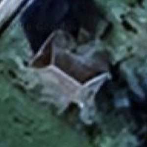 Abandoned villa House Card - Belgium