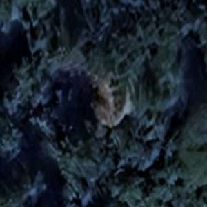 Abandoned villa House Forest - Belgium