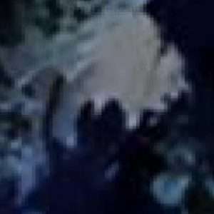 Abandoned Urbex church B - Belgium