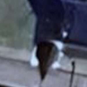 Abandoned church Decay - France